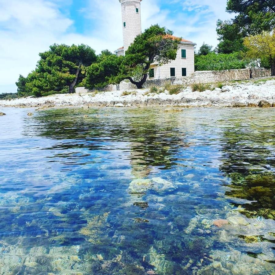 Apartment "Marija" - Otok Vir Dış mekan fotoğraf