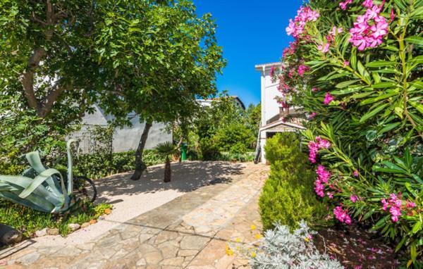 Apartment "Marija" - Otok Vir Dış mekan fotoğraf